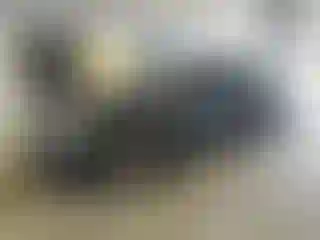 IMPORTOWO.pl