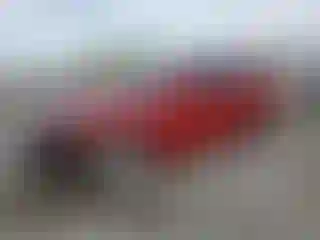 Vehicle Image- 2006 Lexus IS