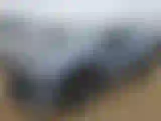 Vehicle Image- 2024 Lexus RX