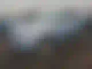 Vehicle Image- 2011 Lexus RX