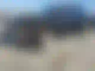 Vehicle Image- 2010 Lexus RX