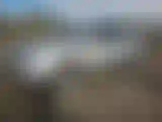 Vehicle Image- 2012 Lexus RX