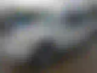 Vehicle Image- 2004 Lexus GX