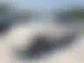 Vehicle Image- 2003 Lexus GX