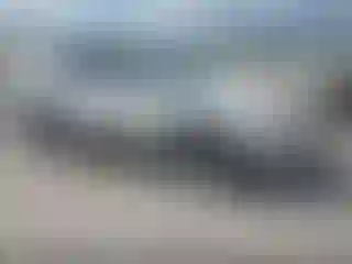 Vehicle Image- 2004 Lexus RX