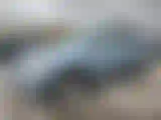 Vehicle Image- 2004 Lexus RX