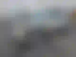 Vehicle Image- 2004 Lexus RX