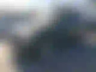 Vehicle Image- 2004 Lexus RX