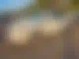 Vehicle Image- 2004 Lexus RX