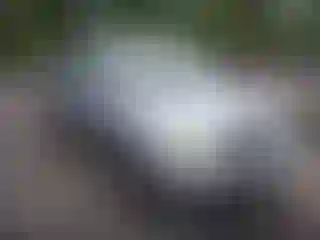 Vehicle Image- 2002 Lexus RX