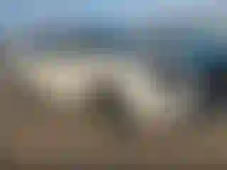 Vehicle Image- 2018 Lexus RX