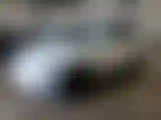 Vehicle Image- 2004 Lexus RX