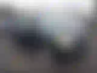 Vehicle Image- 2004 Lexus RX