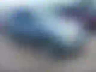 Vehicle Image- 2004 Lexus RX