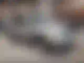 Vehicle Image- 2004 Lexus RX