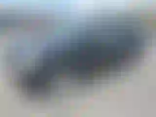 Vehicle Image- 2004 Lexus RX