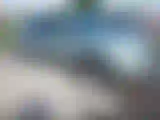 Vehicle Image- 2004 Lexus RX