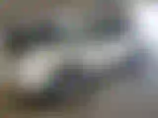 Vehicle Image- 2004 Lexus RX