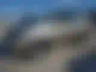 Vehicle Image- 2002 Lexus RX