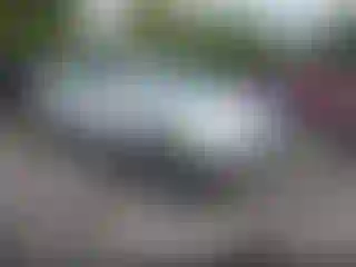 Vehicle Image- 2002 Lexus RX