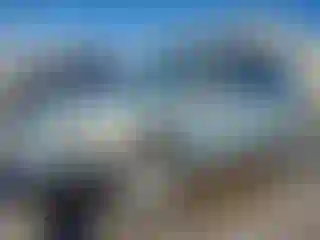 Vehicle Image- 2007 Lexus RX