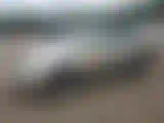 Vehicle Image- 2006 Lexus RX