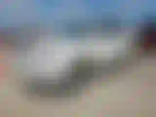 Vehicle Image- 2008 Lexus RX