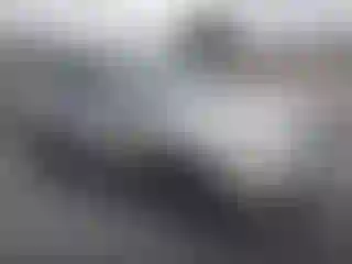 Vehicle Image- 2006 Lexus RX