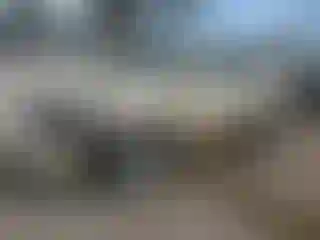 Vehicle Image- 2008 Lexus RX