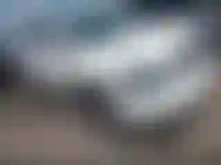 Vehicle Image- 2006 Lexus RX