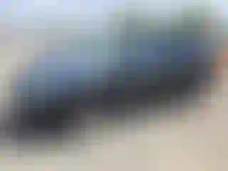 Vehicle Image- 2006 Lexus RX