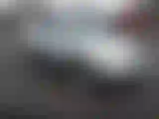 Vehicle Image- 2006 Lexus RX