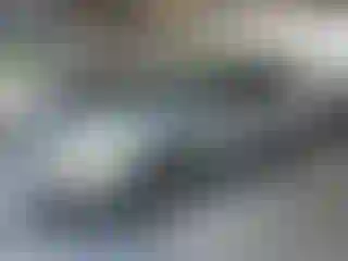 Vehicle Image- 2006 Lexus RX