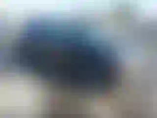 Vehicle Image- 2013 Lexus RX