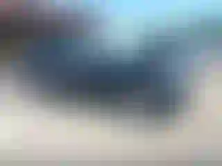 Vehicle Image- 2019 Toyota RAV4