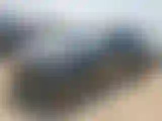 Vehicle Image- 2024 Toyota Sienna