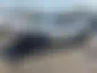 Vehicle Image- 2024 Toyota Sienna