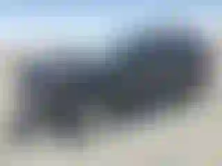 Vehicle Image- 2021 Toyota RAV4