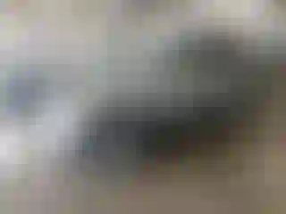 Vehicle Image- 2008 Toyota RAV4