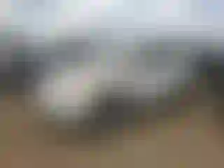 Vehicle Image- 2008 Toyota RAV4