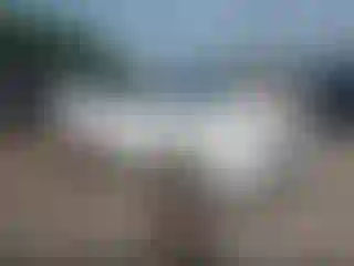 Vehicle Image- 2006 Toyota RAV4