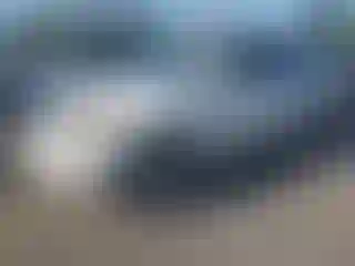 Vehicle Image- 2006 Toyota RAV4