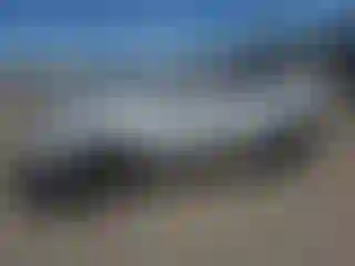 Vehicle Image- 2006 Toyota RAV4