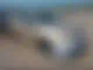 Vehicle Image- 2006 Toyota RAV4