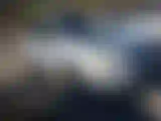 Vehicle Image- 2008 Toyota RAV4