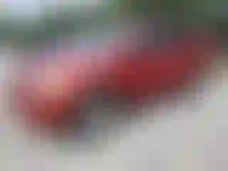 Vehicle Image- 2006 Toyota RAV4