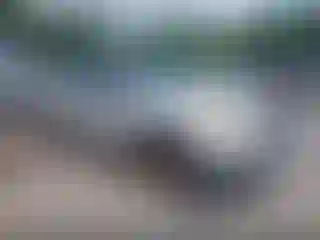 Vehicle Image- 2006 Toyota RAV4