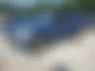 Vehicle Image- 2008 Toyota RAV4