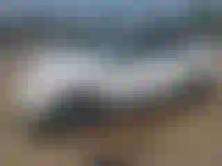 Vehicle Image- 2007 Toyota RAV4