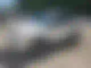 Vehicle Image- 2006 Toyota RAV4